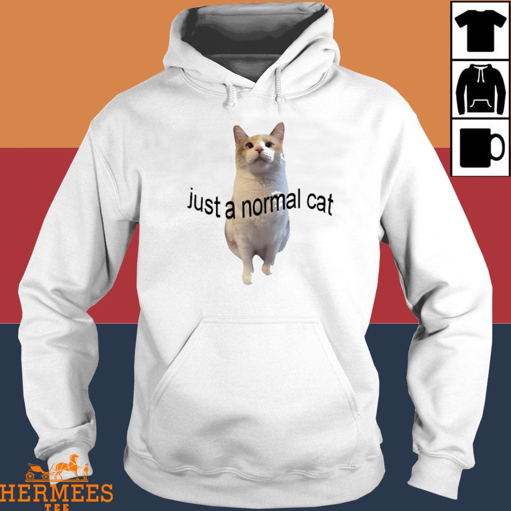 Panko A. Cat’S Mom Just A Normal Cat Shirt Hoodie